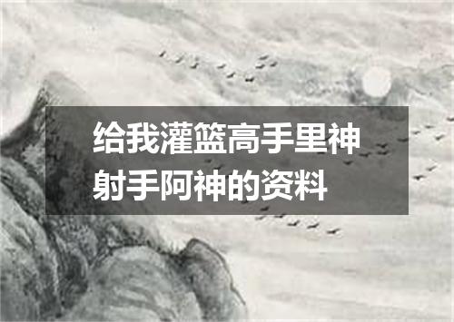 给我灌篮高手里神射手阿神的资料