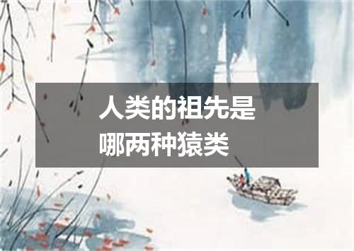 人类的祖先是哪两种猿类