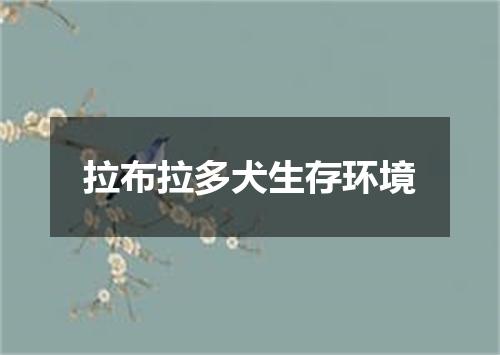 拉布拉多犬生存环境