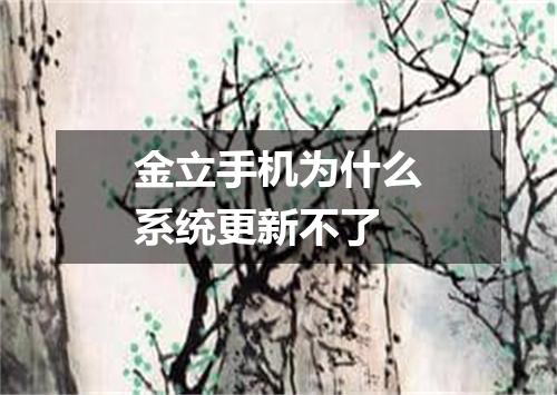 金立手机为什么系统更新不了