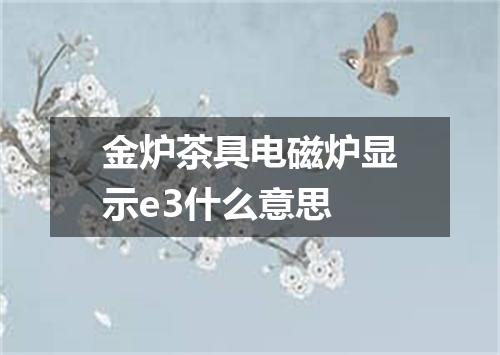 金炉茶具电磁炉显示e3什么意思