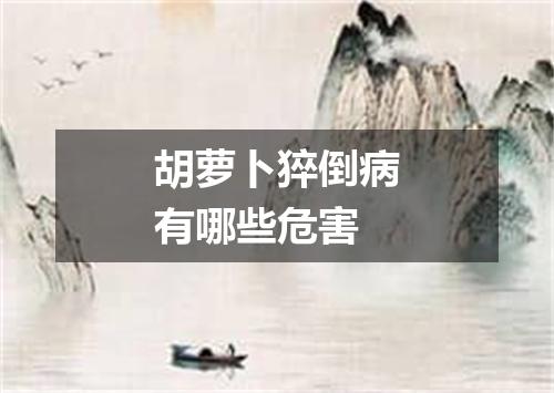 胡萝卜猝倒病有哪些危害