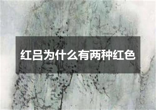 红吕为什么有两种红色