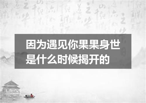 因为遇见你果果身世是什么时候揭开的