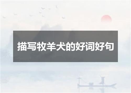 描写牧羊犬的好词好句
