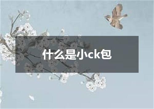 什么是小ck包