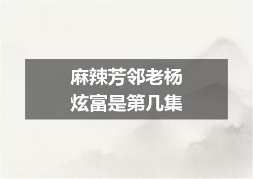 麻辣芳邻老杨炫富是第几集