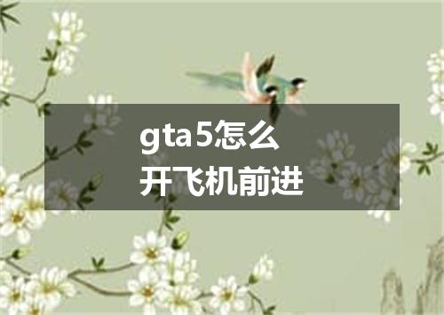 gta5怎么开飞机前进