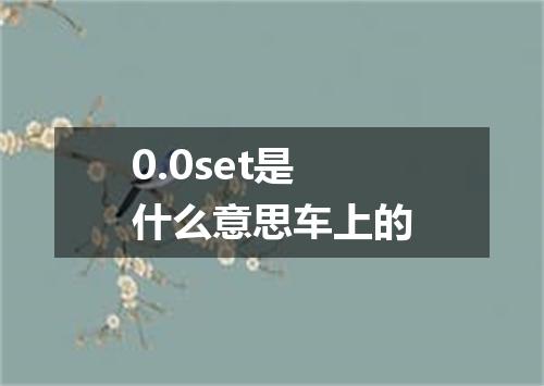 0.0set是什么意思车上的