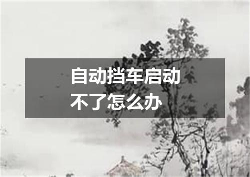 自动挡车启动不了怎么办