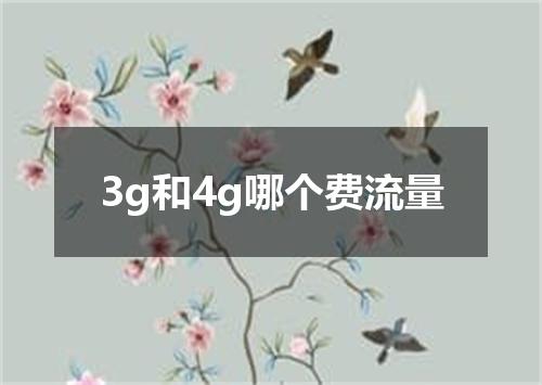 3g和4g哪个费流量