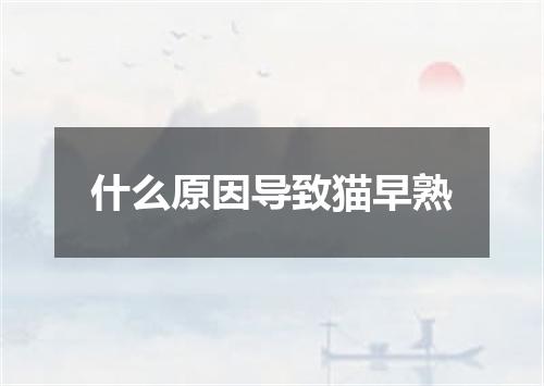 什么原因导致猫早熟