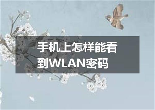 手机上怎样能看到WLAN密码
