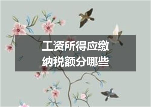 工资所得应缴纳税额分哪些