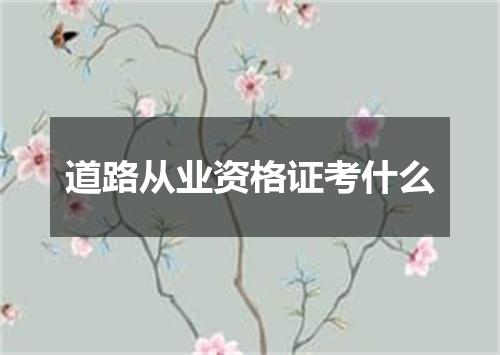 道路从业资格证考什么
