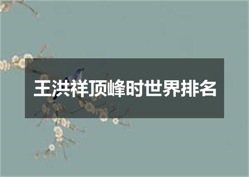 王洪祥顶峰时世界排名