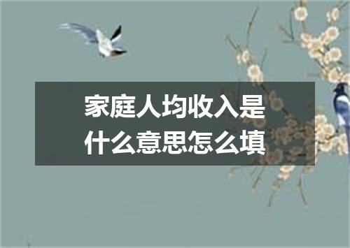 家庭人均收入是什么意思怎么填