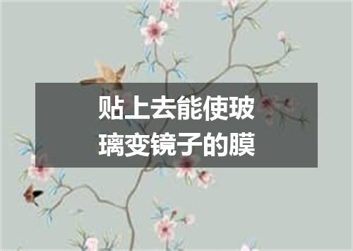 贴上去能使玻璃变镜子的膜