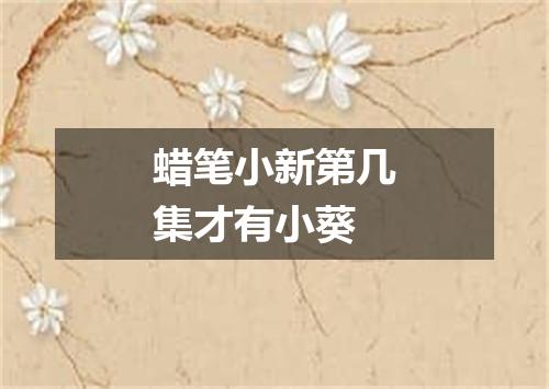 蜡笔小新第几集才有小葵