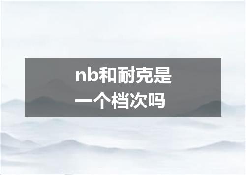 nb和耐克是一个档次吗