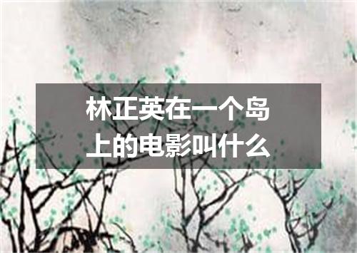 林正英在一个岛上的电影叫什么