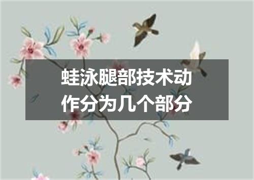 蛙泳腿部技术动作分为几个部分