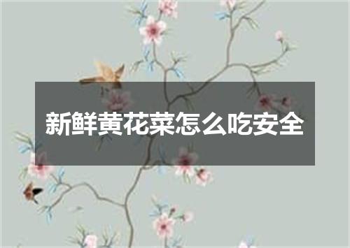 新鲜黄花菜怎么吃安全