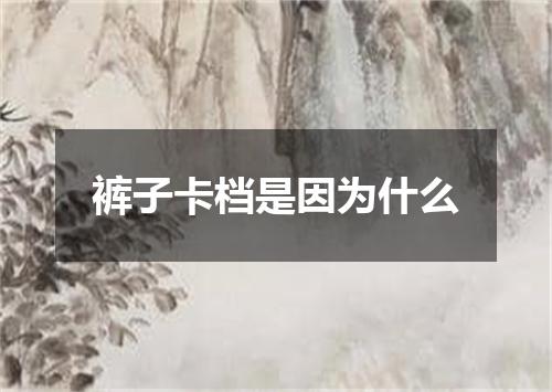 裤子卡档是因为什么