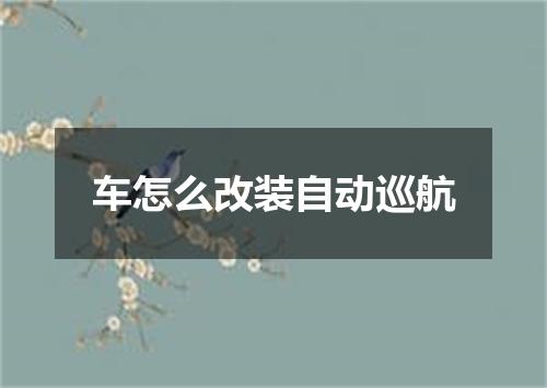 车怎么改装自动巡航
