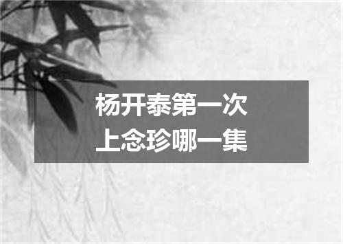 杨开泰第一次上念珍哪一集