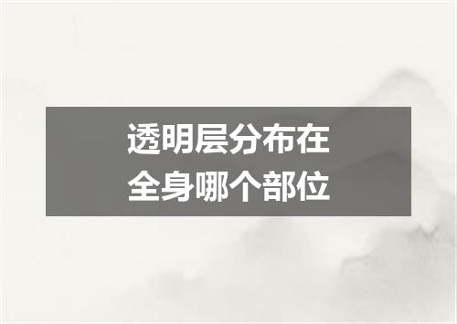 透明层分布在全身哪个部位