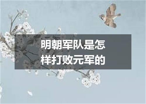 明朝军队是怎样打败元军的