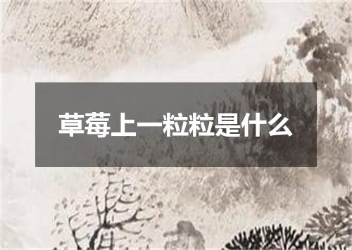 草莓上一粒粒是什么