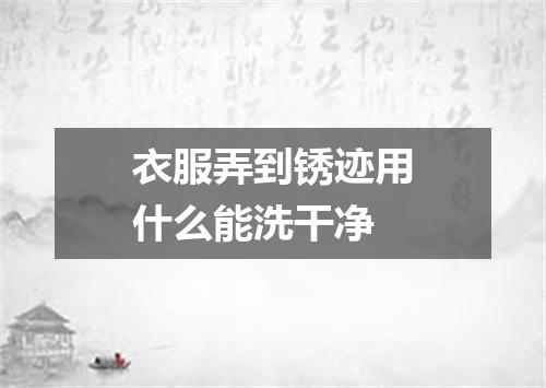 衣服弄到锈迹用什么能洗干净