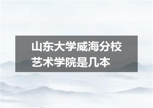 山东大学威海分校艺术学院是几本