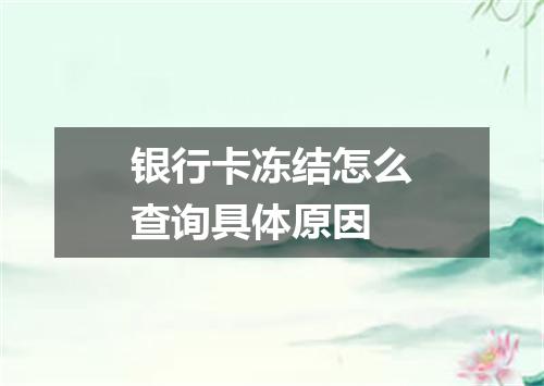 银行卡冻结怎么查询具体原因
