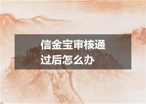 信金宝审核通过后怎么办