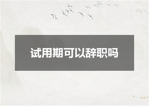 试用期可以辞职吗