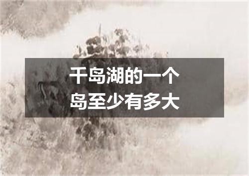 千岛湖的一个岛至少有多大