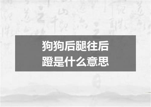 狗狗后腿往后蹬是什么意思
