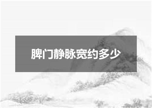 脾门静脉宽约多少