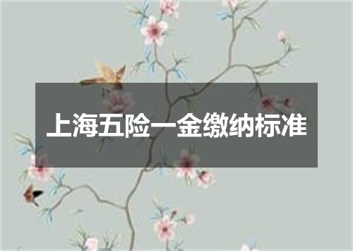 上海五险一金缴纳标准