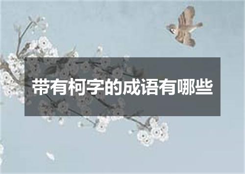 带有柯字的成语有哪些
