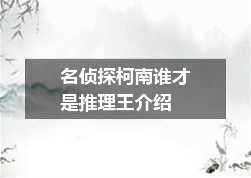 名侦探柯南谁才是推理王介绍