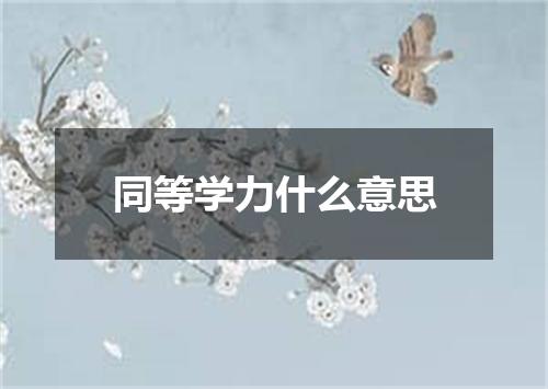 同等学力什么意思