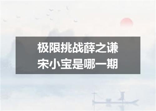 极限挑战薛之谦宋小宝是哪一期