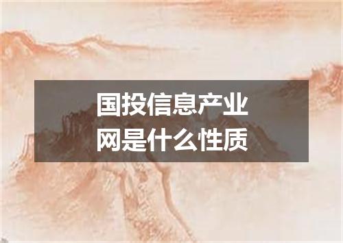 国投信息产业网是什么性质