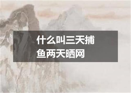 什么叫三天捕鱼两天晒网