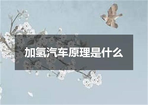 加氢汽车原理是什么