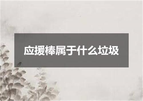 应援棒属于什么垃圾